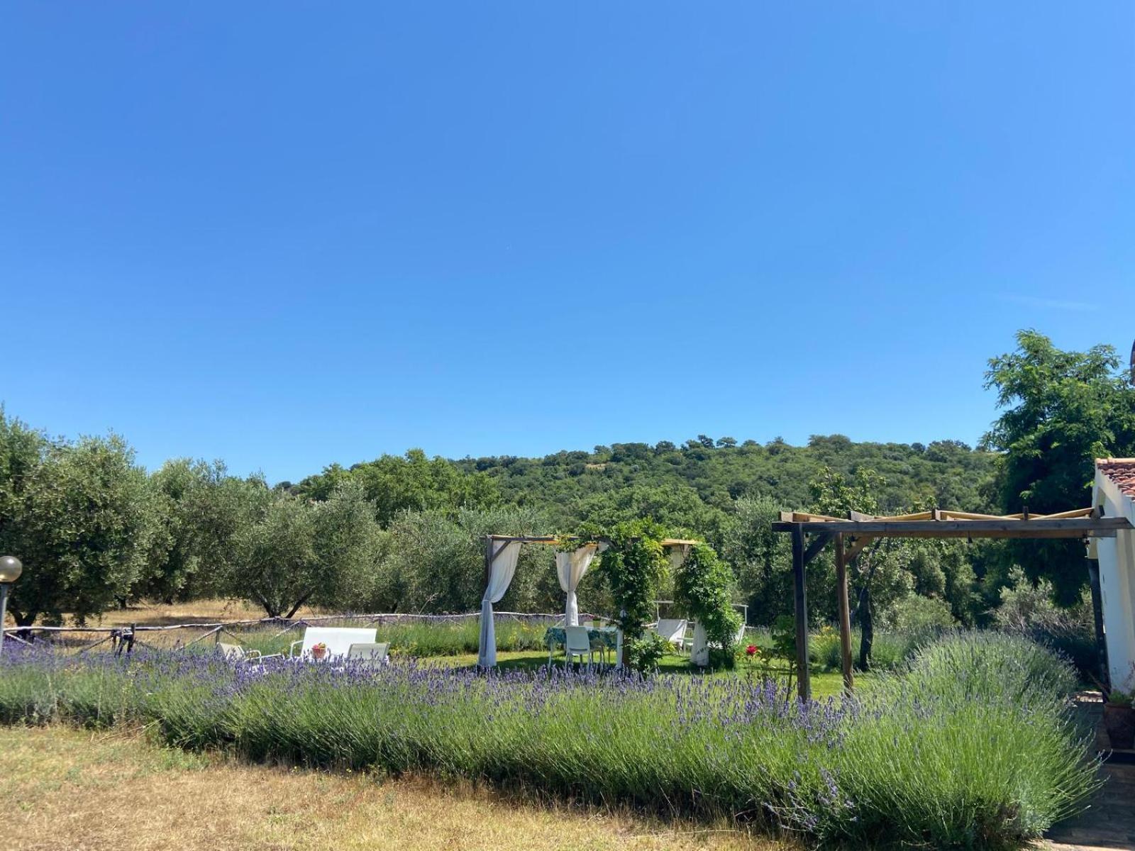 Tenuta Le Mandorlaie, Agriturismo In Scansano Exterior photo
