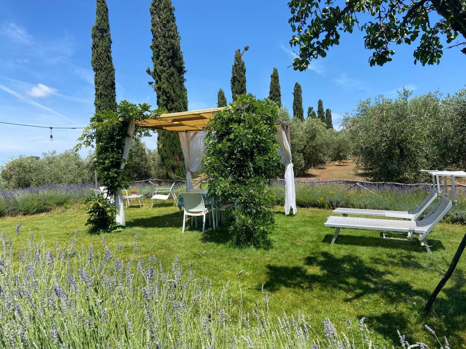 Tenuta Le Mandorlaie, Agriturismo In Scansano Exterior photo