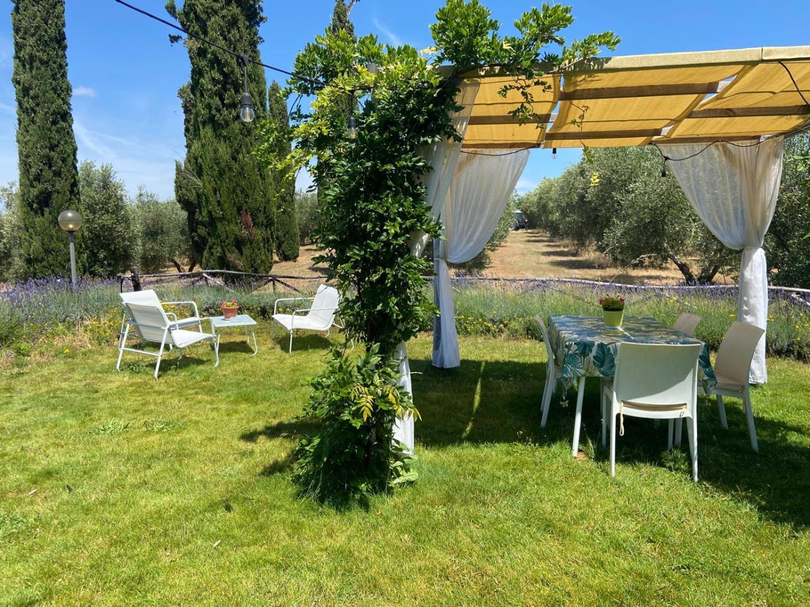 Tenuta Le Mandorlaie, Agriturismo In Scansano Exterior photo
